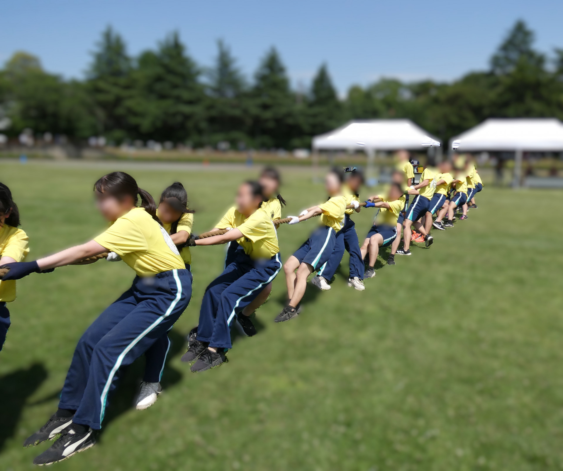 5学年 綱引き.JPG